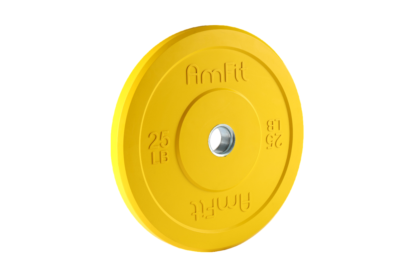 Rubber Bumper Plate (Colored Training)